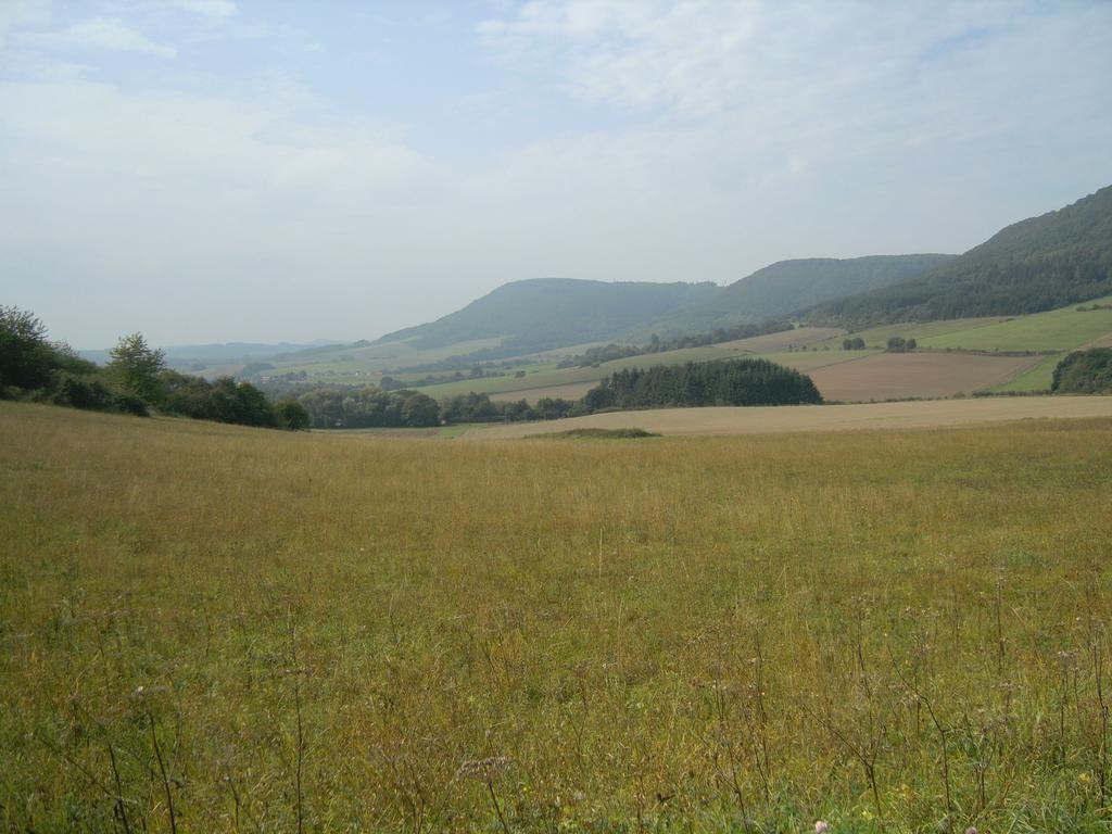 Hotel Burgblick Thallichtenberg ภายนอก รูปภาพ