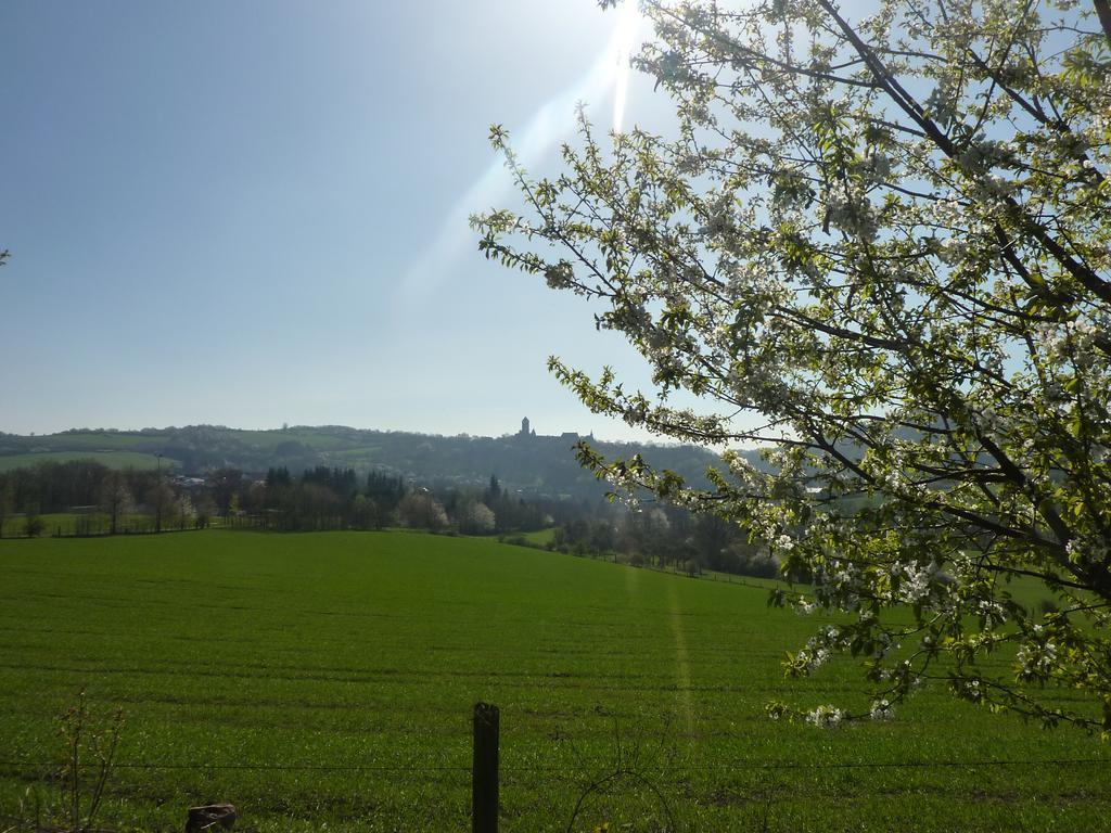Hotel Burgblick Thallichtenberg ภายนอก รูปภาพ